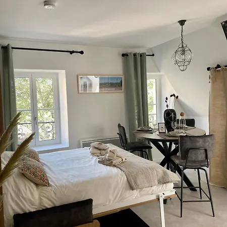 Le Ger - Studio Plein Coeur Historique Apartment